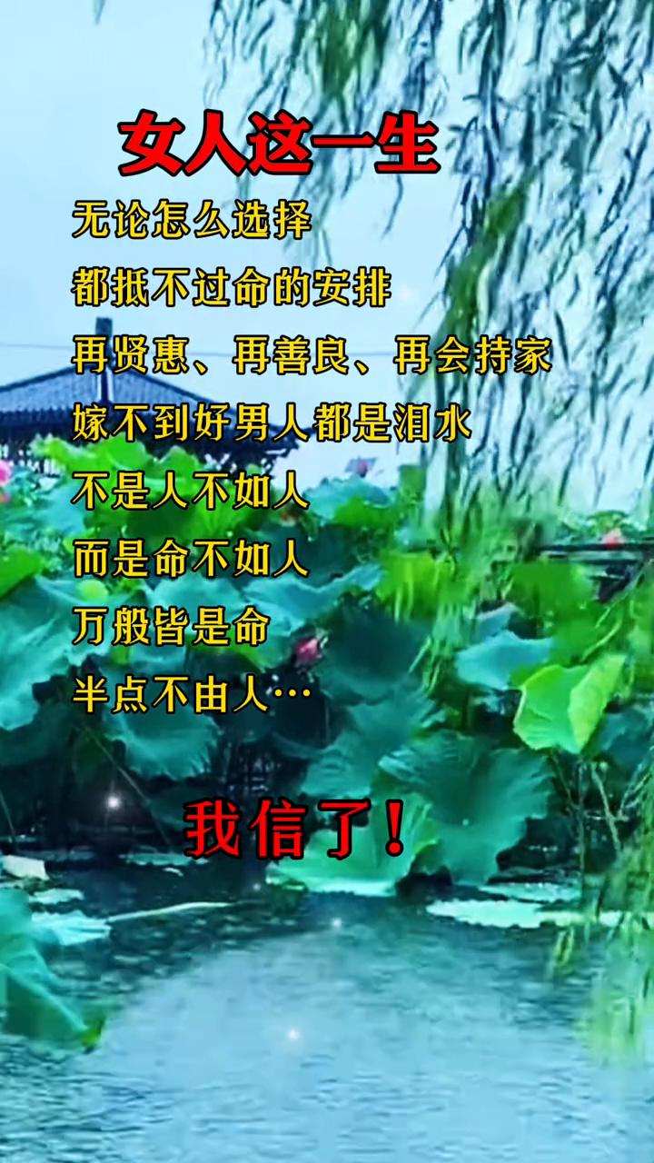 女人这一生，无论怎么选择都抵不过命的安排。再贤惠、再善良、再会持家，嫁不到好男人