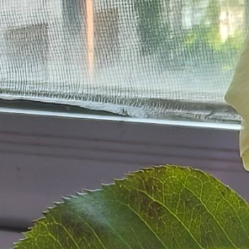 每日一善 心存善念的人，总能在黑暗中抓住光明；内心阴暗的人即使在光明处，也会找到