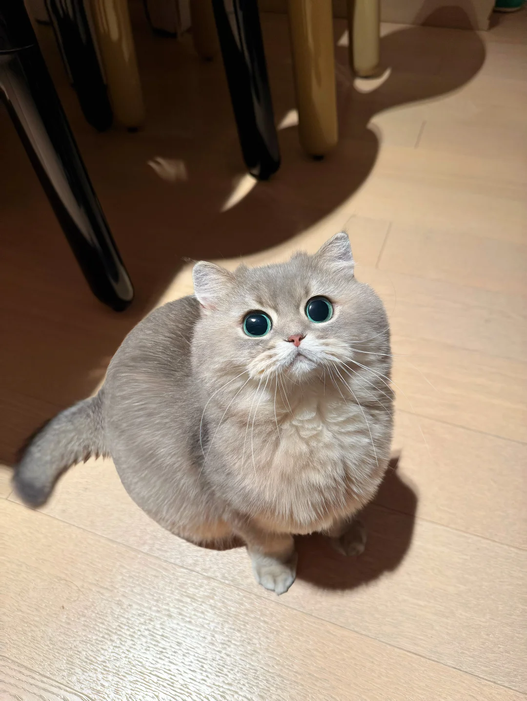 你瞅啥