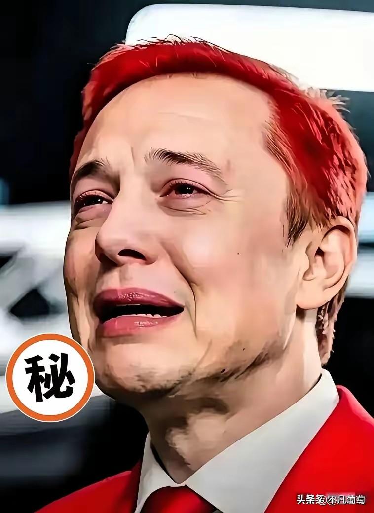 新消息，马斯克涉嫌欺诈！2026年3月21日，美国加州联邦法院陪审团作出裁决，认