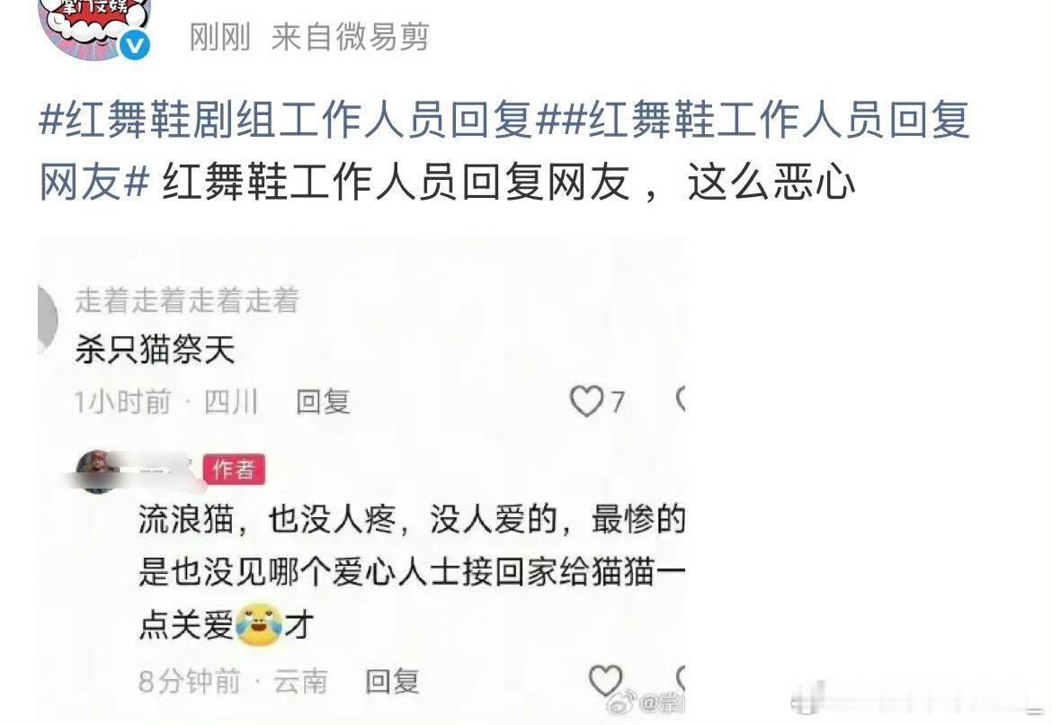 红舞鞋剧组工作人员回复，牛、称流浪猫没人疼没人爱，也没人管，还说剧组拍戏一直在拍