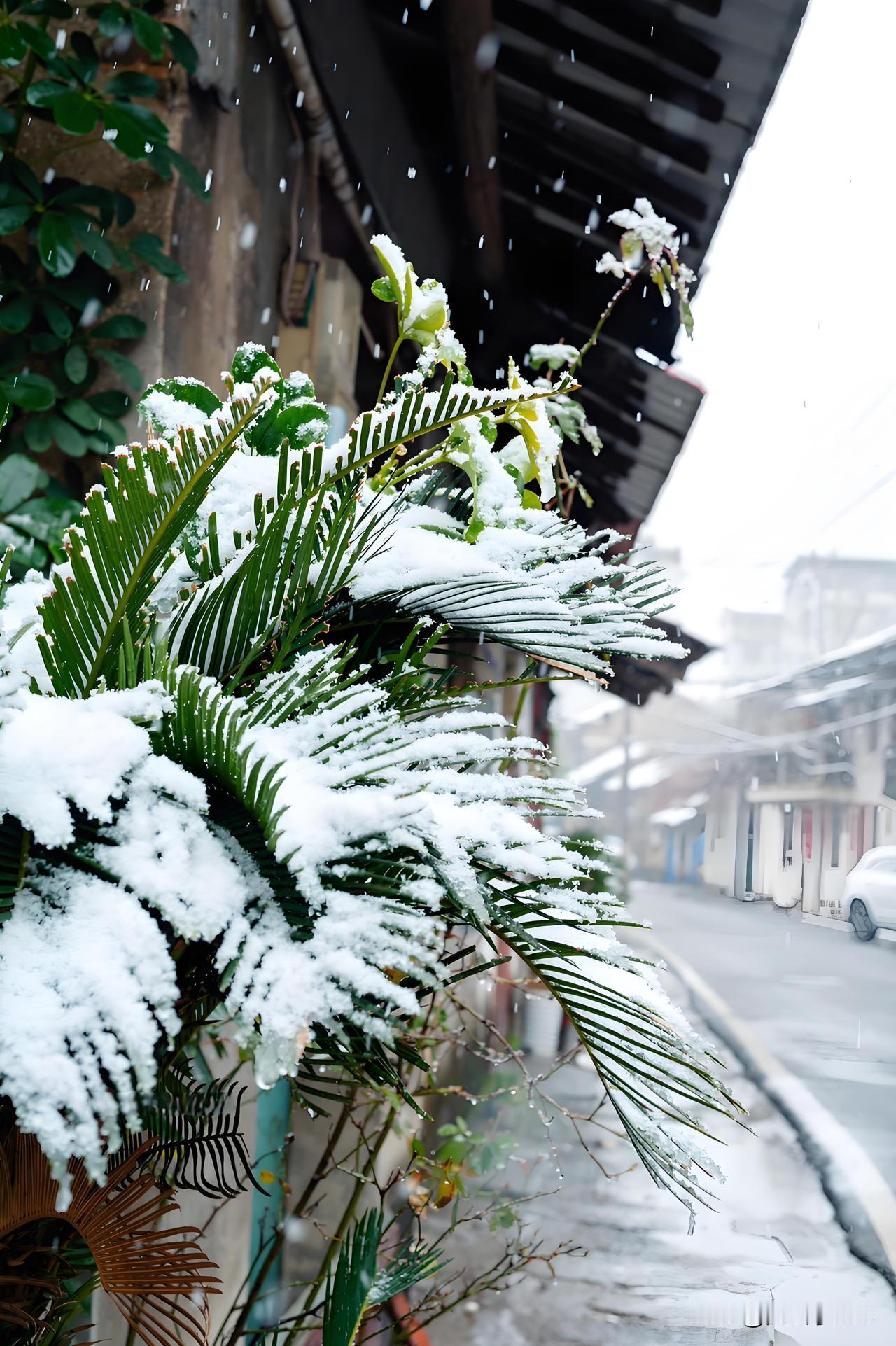 北方人不喜欢南方的冬天吗？

作为北方人，其实谈不上不喜欢，而是不太习惯那里的气