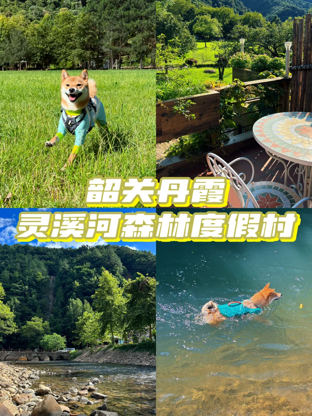 避开暑期人流🏃🏻‍♂️来韶关这里带狗玩