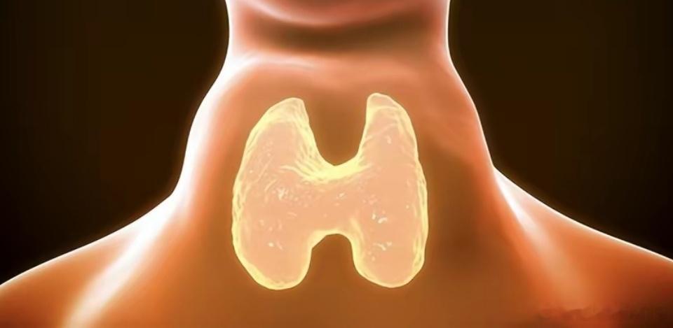 体检查出这8种病，提醒您：基本可以不用治！别自己吓自己1、甲状腺结节：95%都是