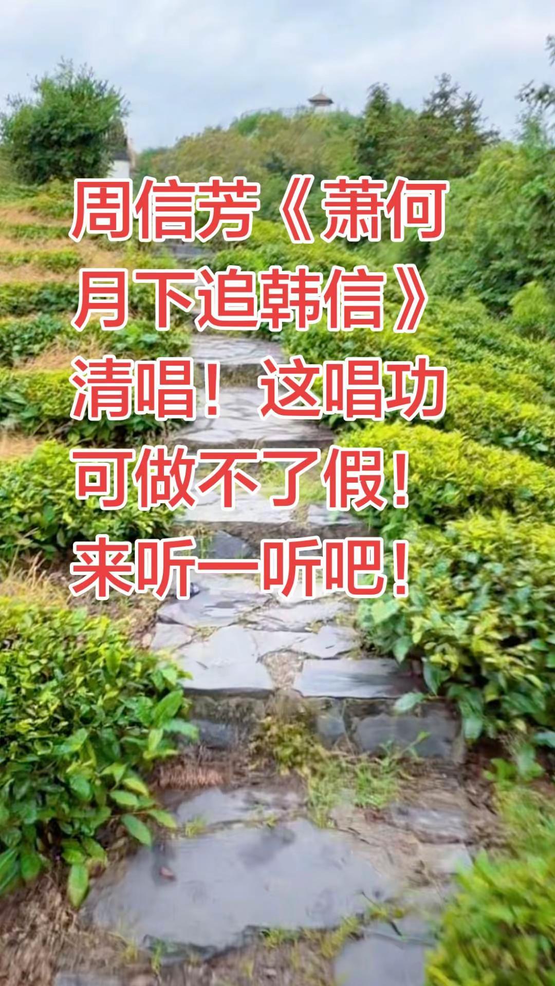 周信芳清唱《萧何月下追韩信》这唱功也是没谁了！不用字幕，每个字都能听清！京剧老生