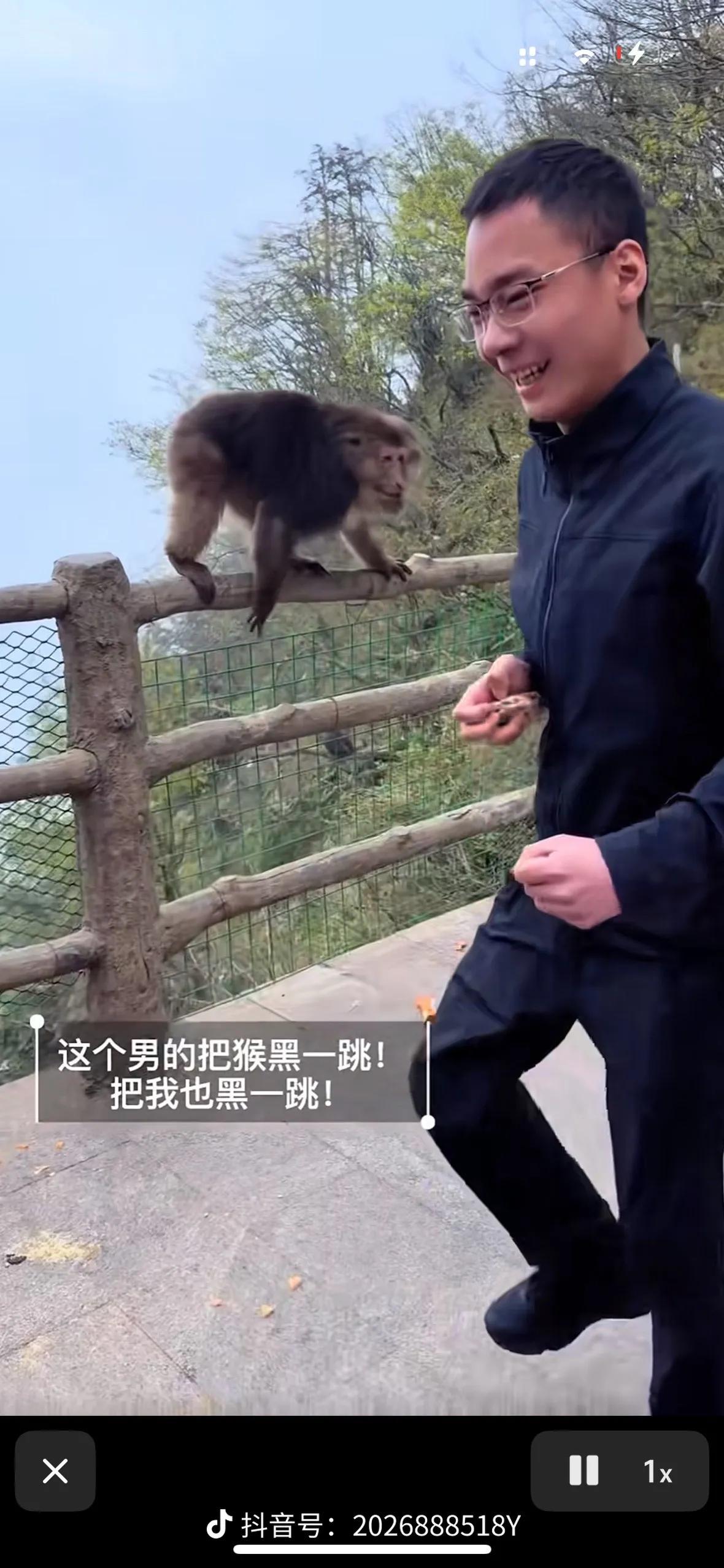 近日，四川峨眉山上，一只猕猴正静立崖边栏杆上安静的剥橘子吃，却遭一男子悄悄靠近蓄