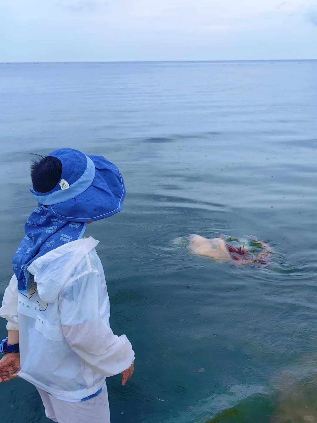 💬是谁在烟台沿海岸🐚踏浪赶海🌊❓️