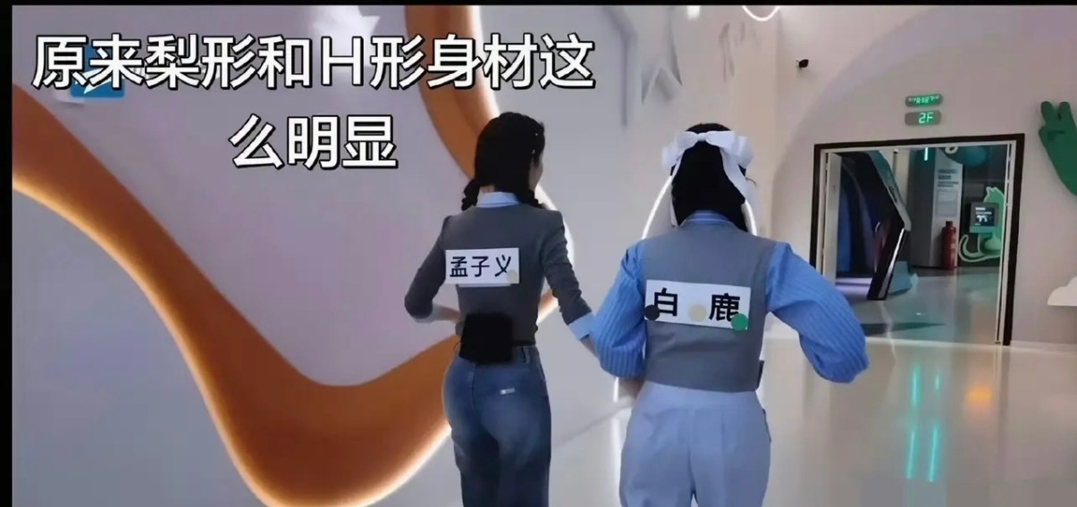 对比真的发现不了，白鹿和孟子义的身材差距也太明显了吧！白鹿妥妥标准梨形身材，上半