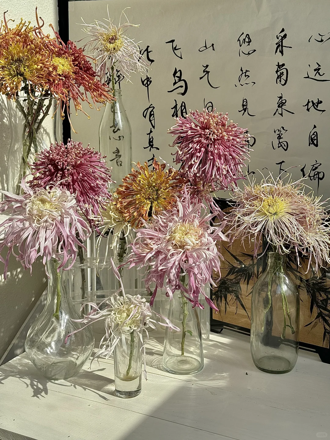 hello！This is traditional Chinese flower