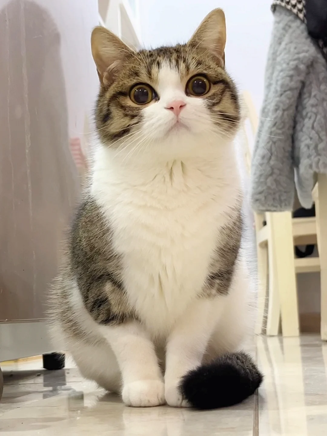 睡前决定勾引一下麻麻