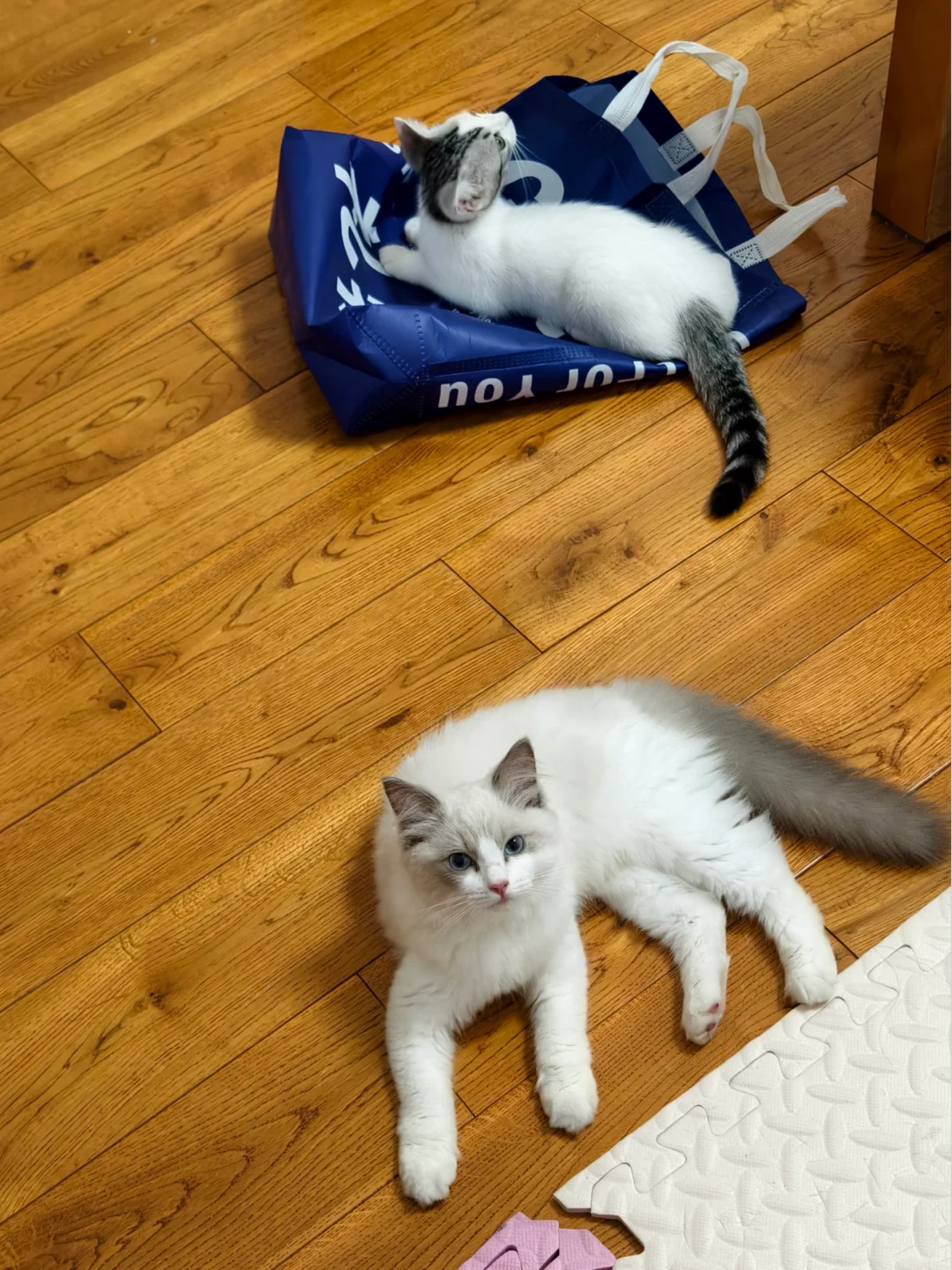 好宝宝好宝宝好宝宝