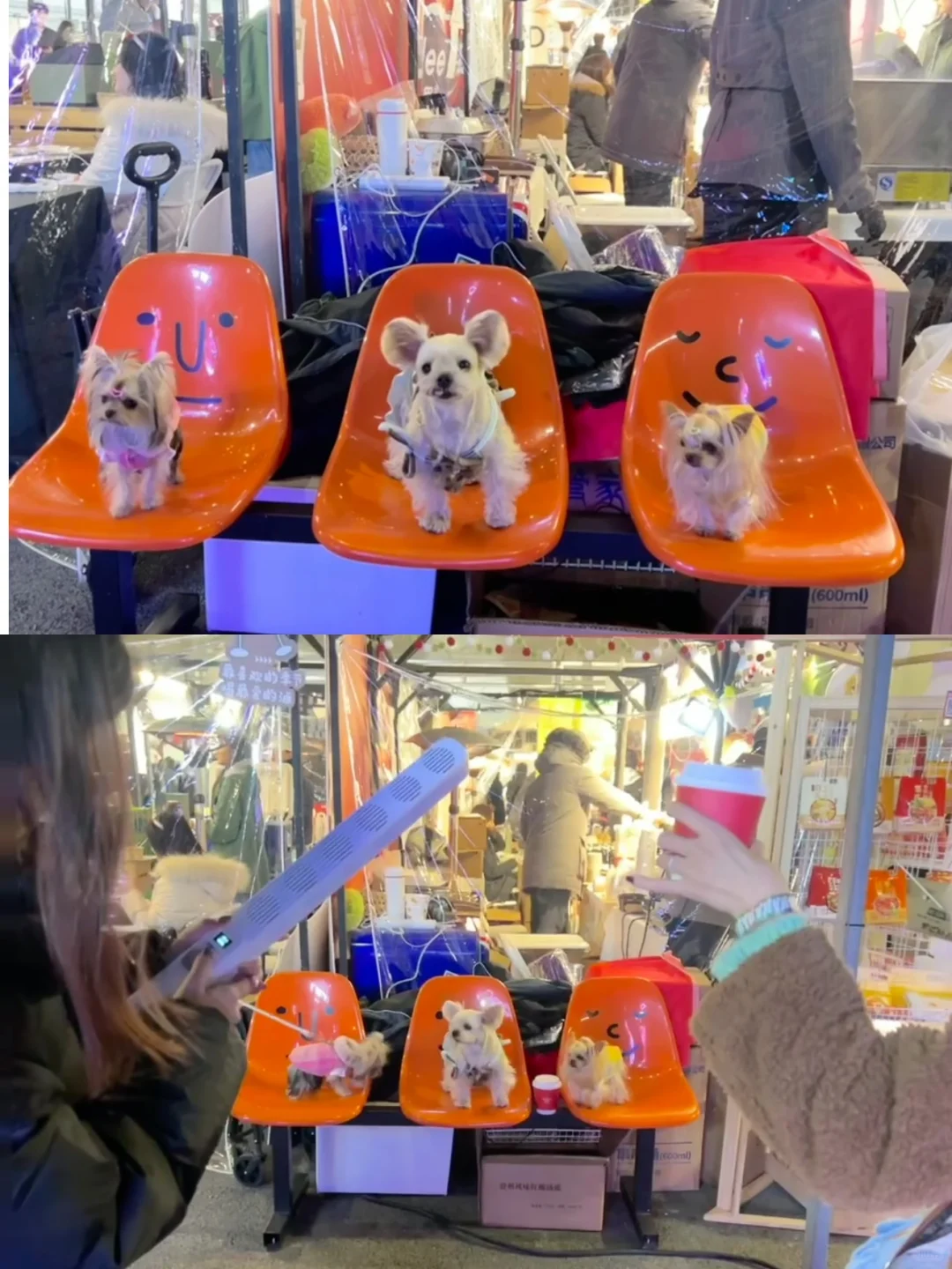 外出134｜凡几圣诞集市好好逛🎄