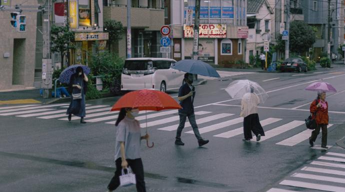 人到群体中，智商就严重降低。为了获得认同，个体愿意抛弃是非，用智商去换取那份让人