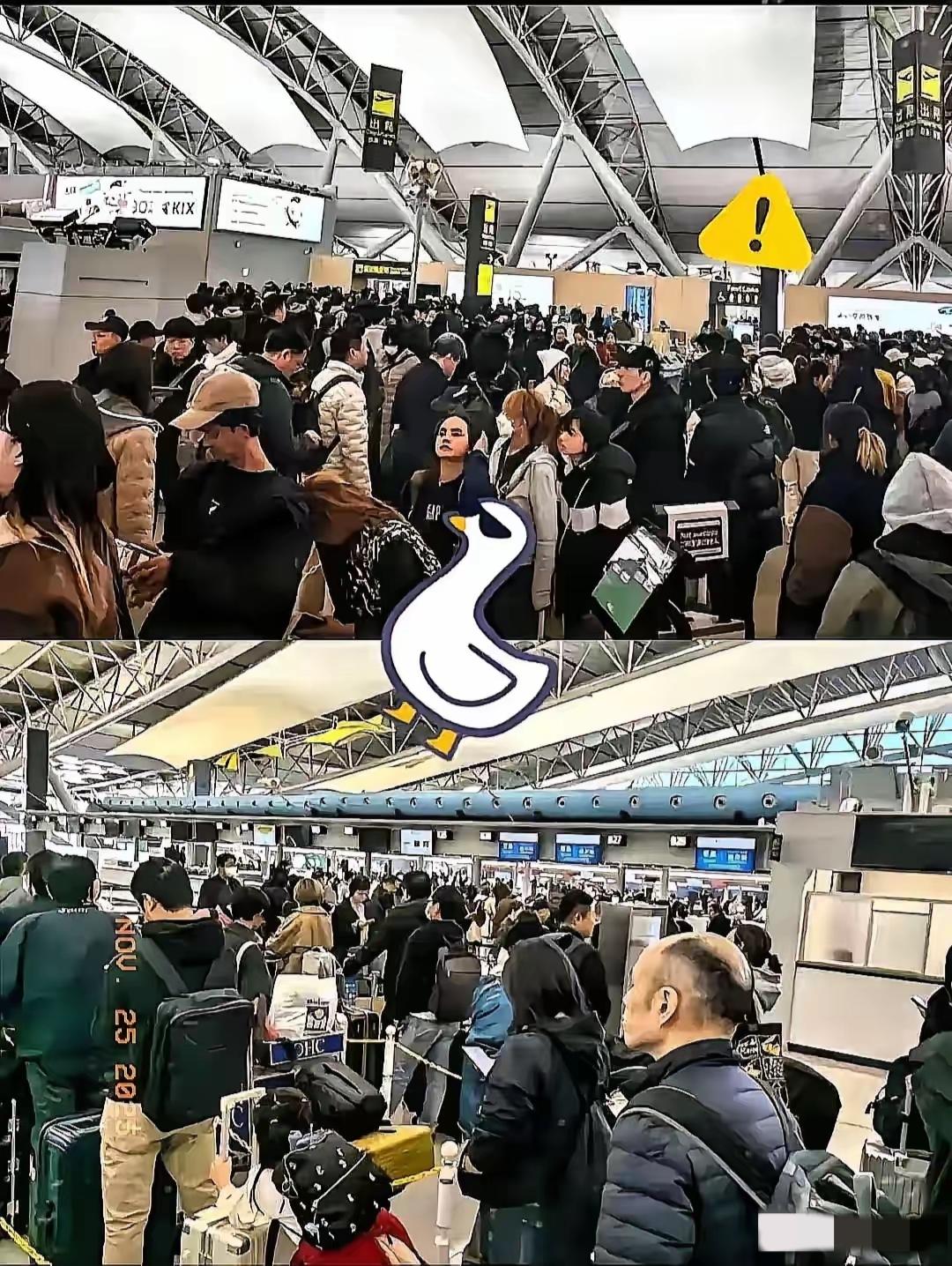 以为捡了低价漏，结果踩了天大坑！日本机场里三层外三层的滞留人群，早把

“任性要