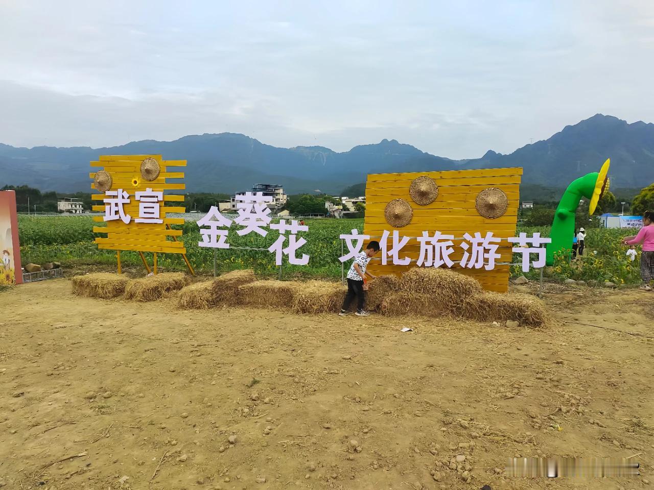  假期出游

带你看看广西武宣田园风光，

带着你的家人一起漫步这花海之中，
