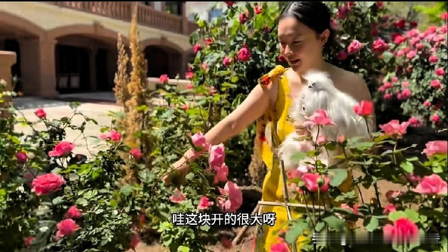 霍思燕身着一条黄色长裙，怀抱着心爱的狗狗，在自家的大花园中悠然漫步、欣赏景致。