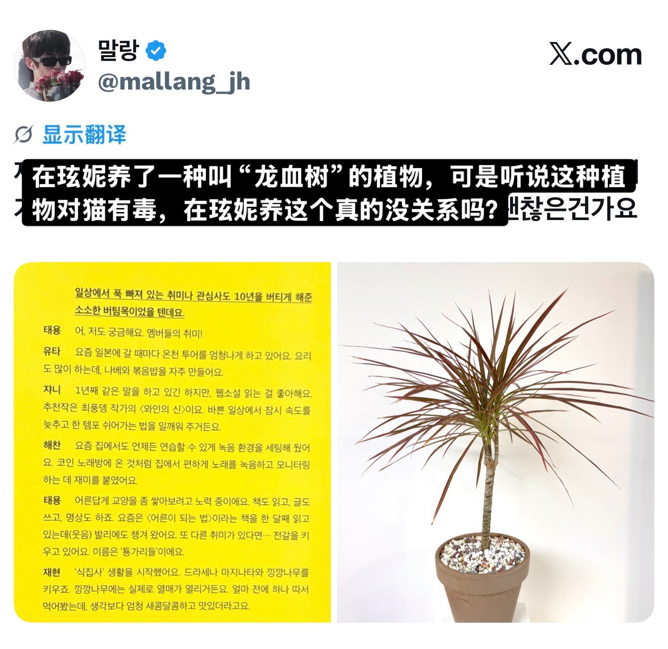 在选妮养这个真的没关系吗？ 