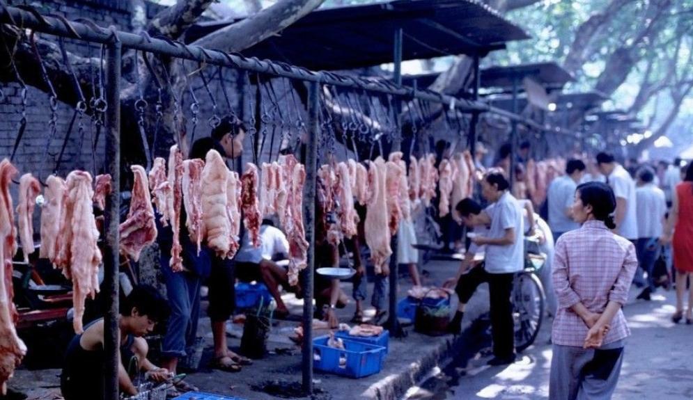 8岁那年家里没肉过年，娘叫我去大伯家里借，我硬着头皮去了，大伯却说他家没肉，等我