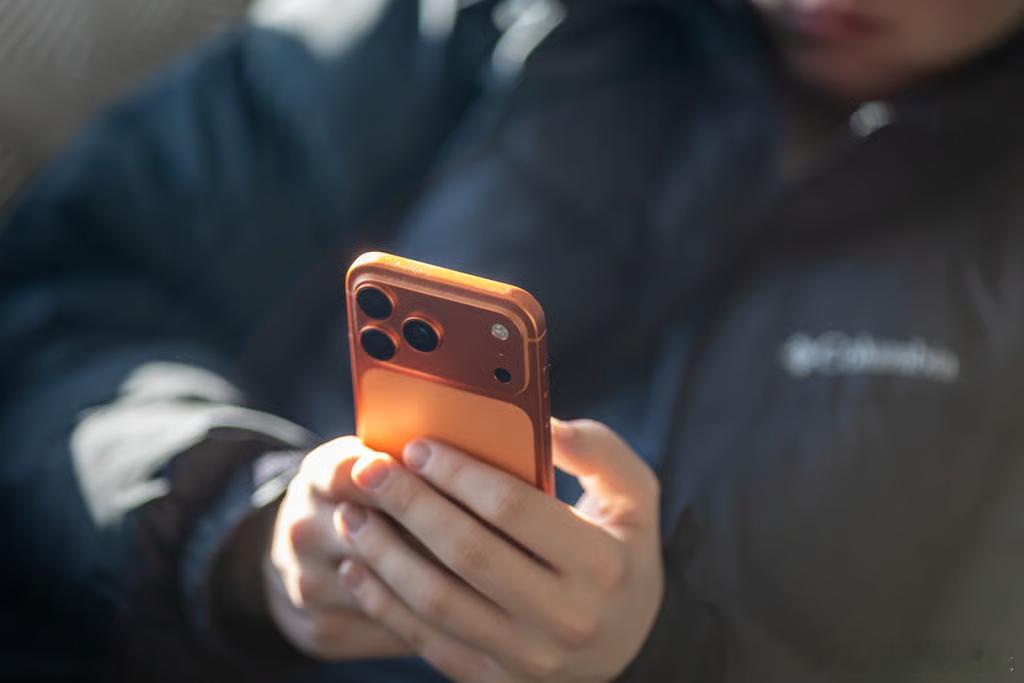 【美国施压重燃呼吁建立强大欧盟科技监管机构】[敌友不分、四处漏风的欧盟。这条是关