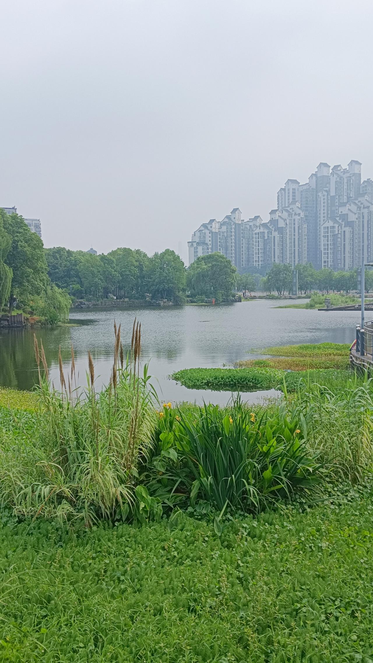 浅夏湖光
 
晴雾轻笼，水映楼影，岸草葳蕤，亭边风软，一湖绿意晕染出夏日温柔。