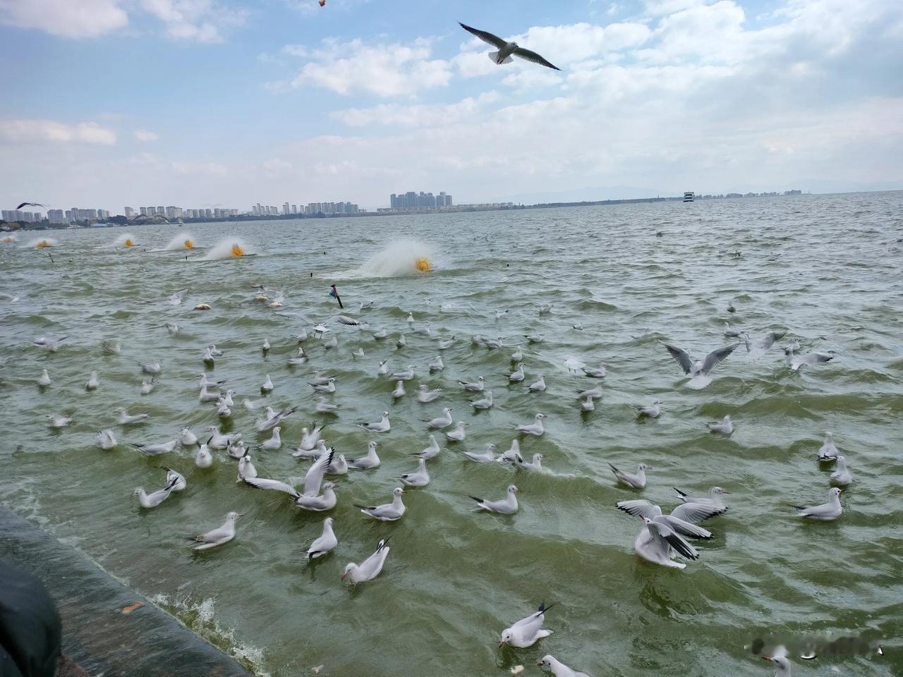 信访申请督办：能否成为解决问题的有效途径？

在当前社会环境下，信访制度作为公民