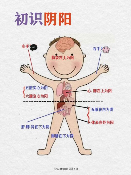 古中医基础篇｜阴阳