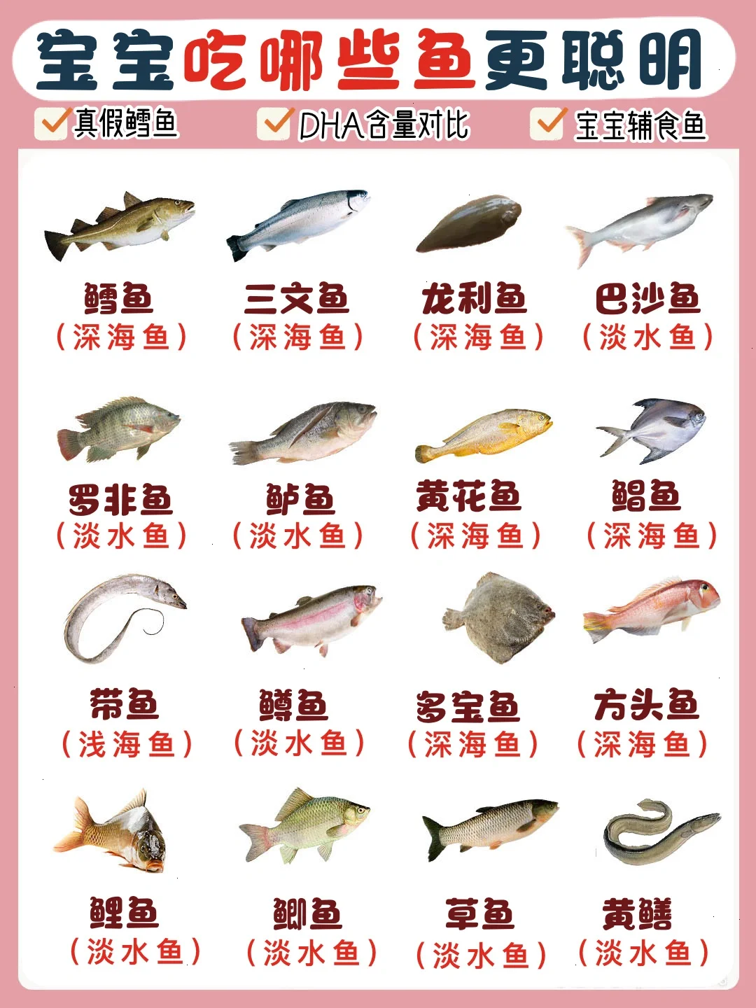 宝宝吃鱼添加攻略！辅食鱼类怎么选？