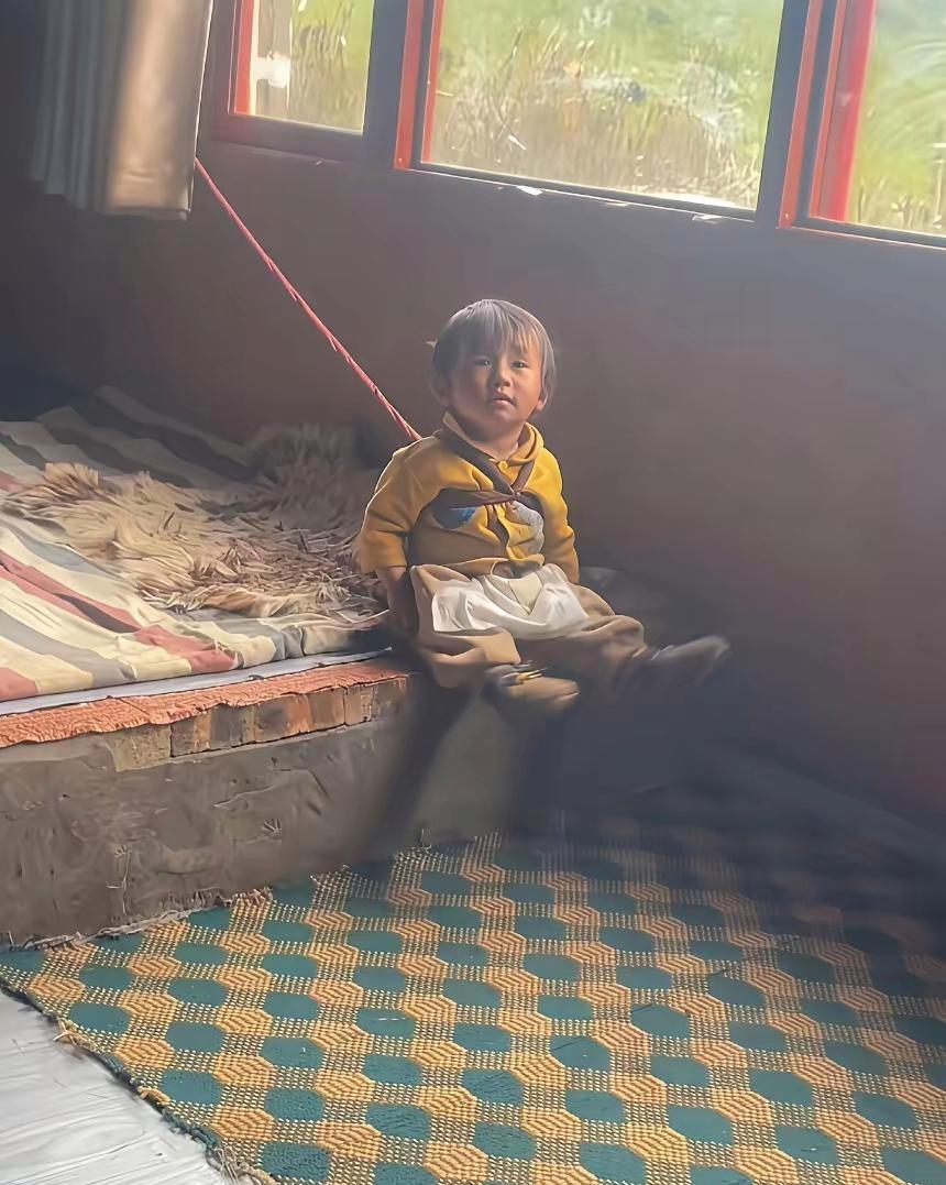 养不了就不要生，这给养一条小狗有啥区别！