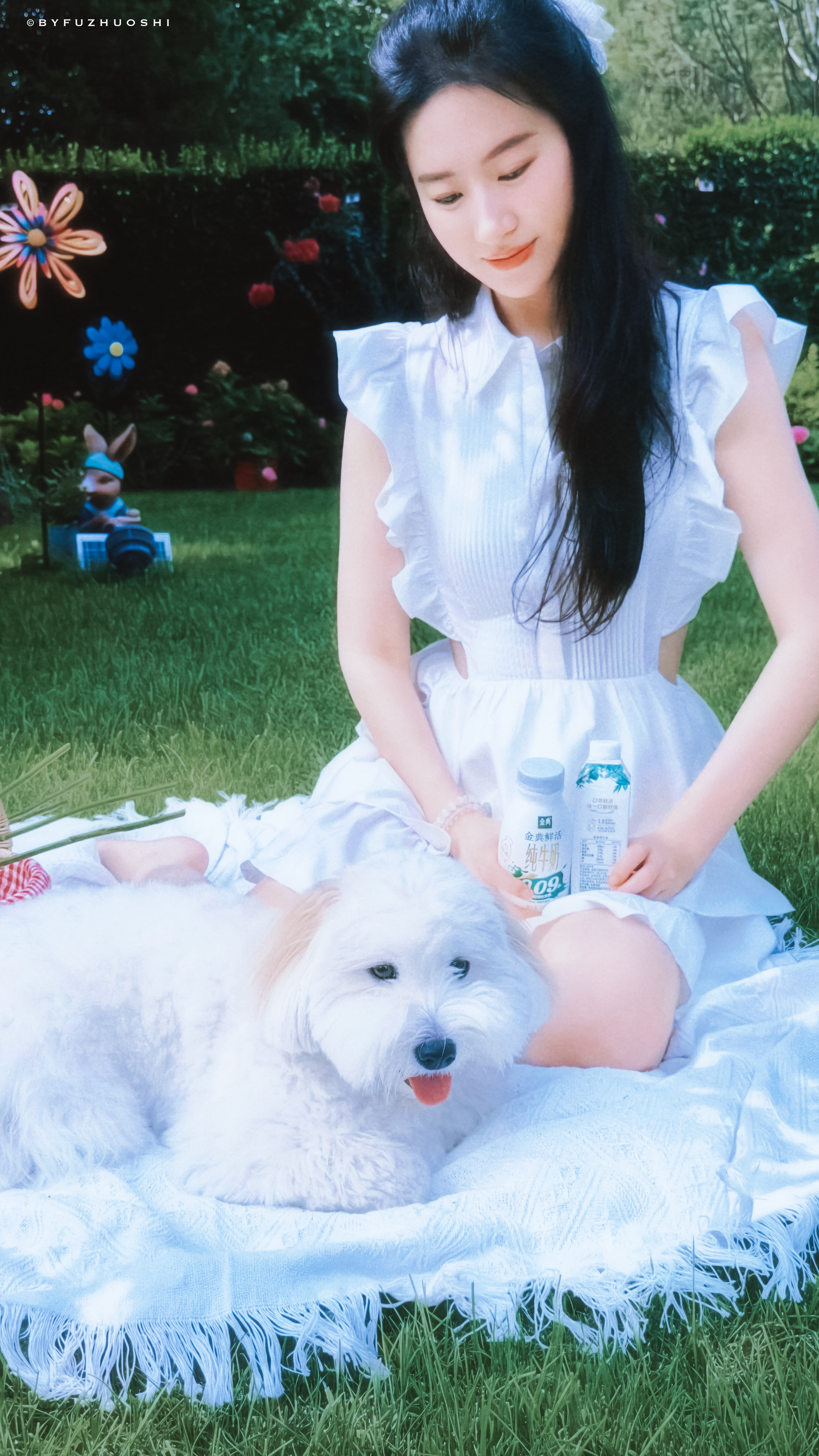 刘亦菲｜🐶☀️刘亦菲带哈哈晒太阳