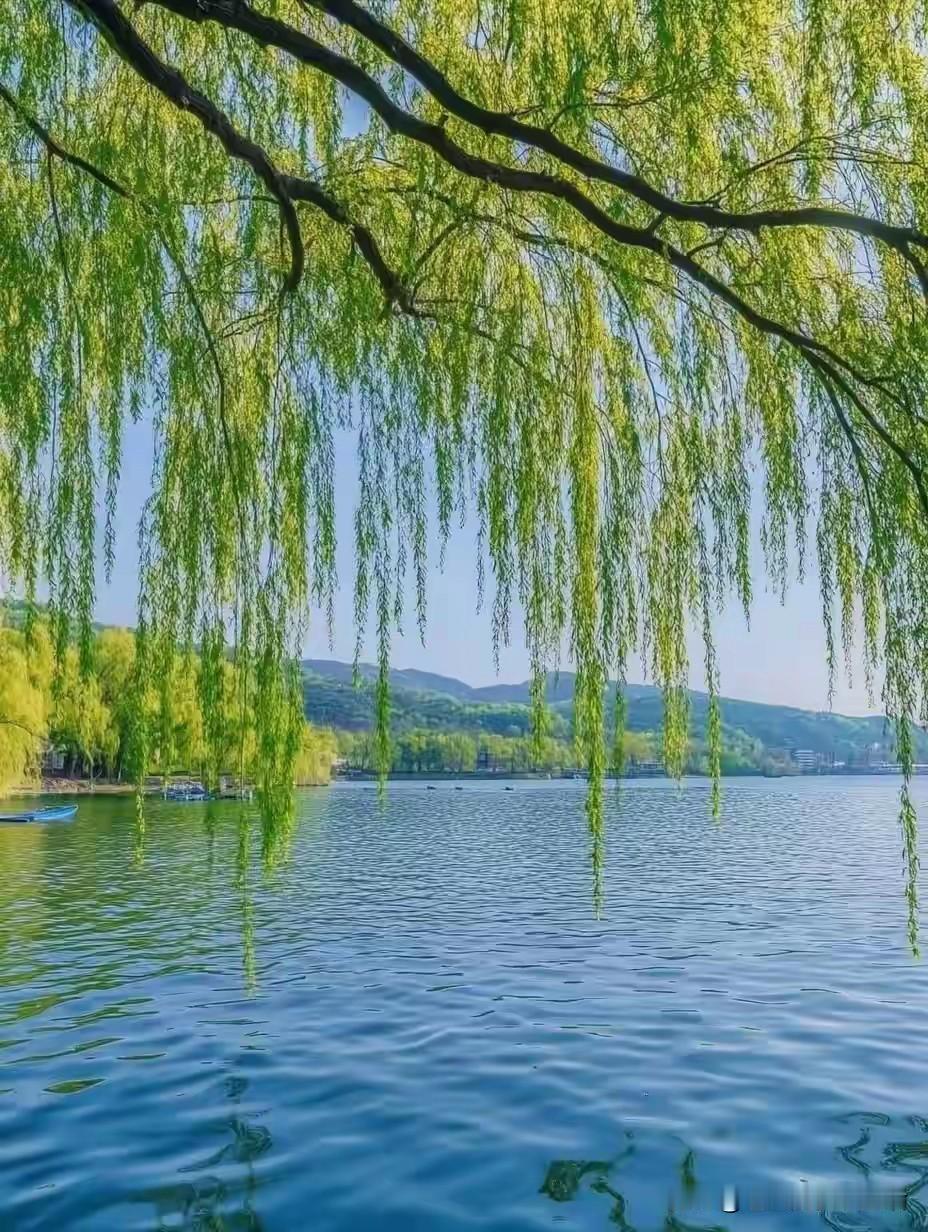 你闻着没？早春二月这一露头，空气里都带着股不一样的劲儿。
 
风里那股子钻骨头的