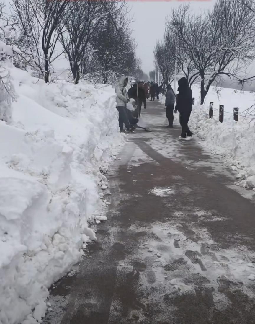 网上看见西安长安区节前这场雪下出来新疆大雪的阵势来[呲牙]瑞雪兆丰年！