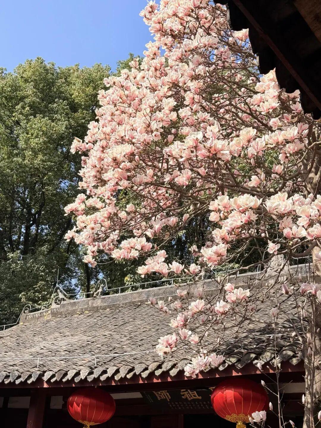 【放下对爱人过高的期待，人无完人，相处中难免会有摩擦，唯有相互体谅和包容，才能携