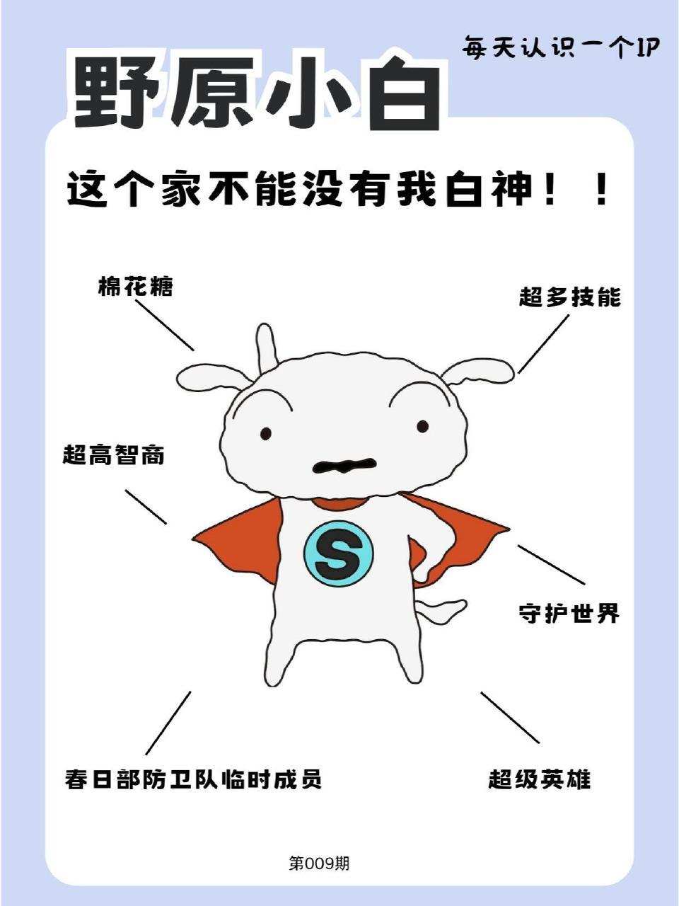 动漫嘉年华  我的2024年终总结  国漫点评团 野原小白日漫第一狗 姓名：野原