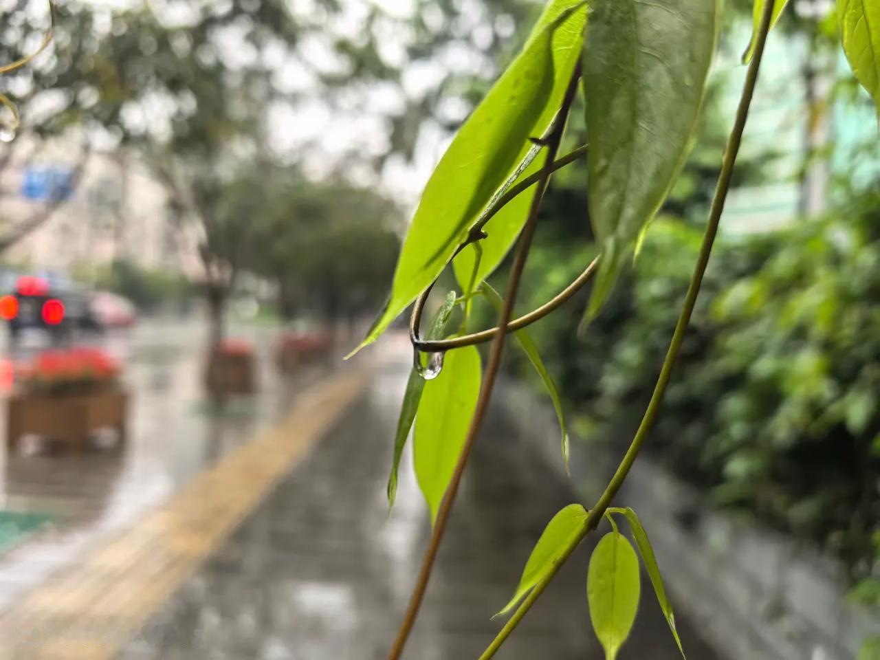 下雨天，分享秋日里的宁静