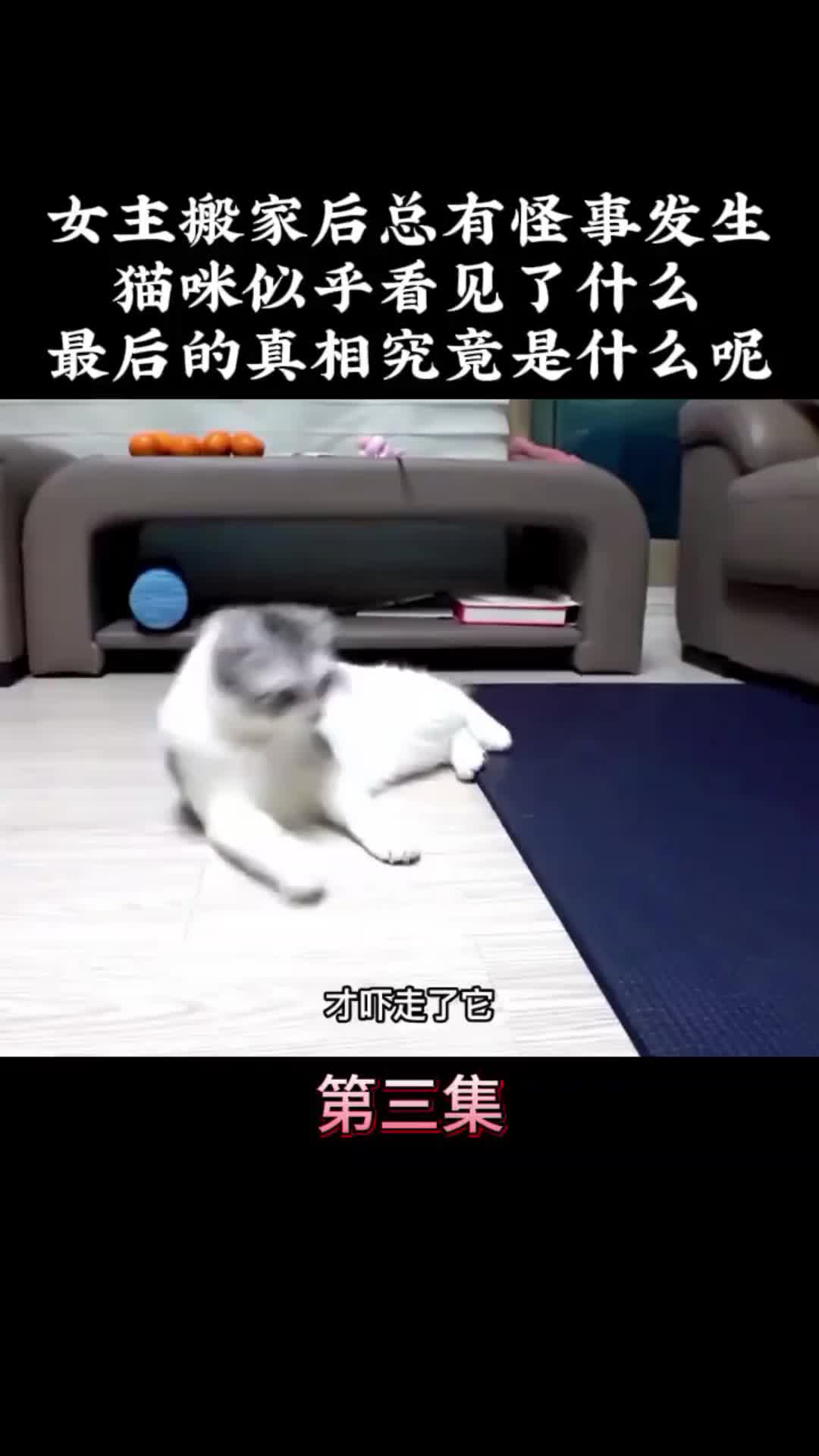 内容启发搜索 我的观影报告