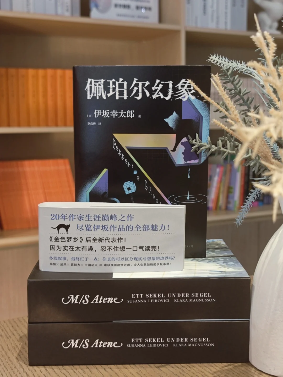 超大脑洞！伊坂幸太郎又一部温情的成人童话