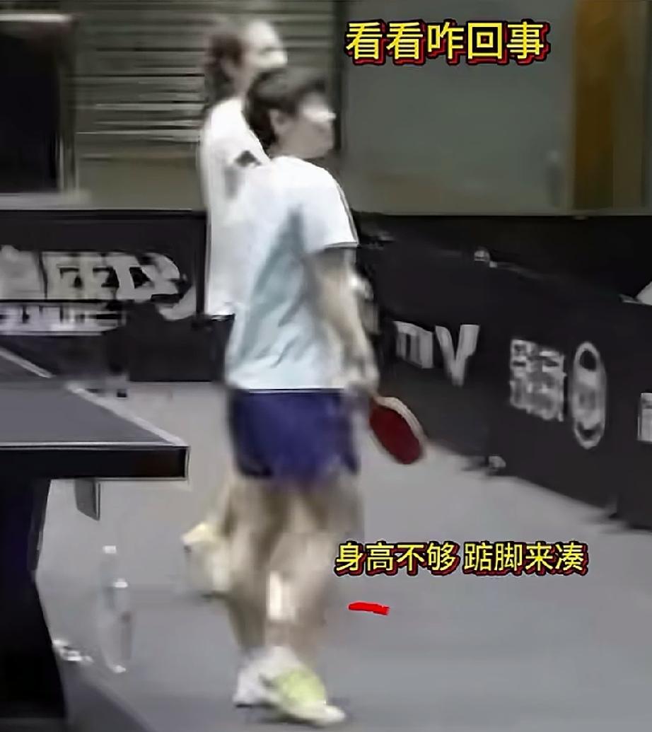 各种状态的莎莎，太搞笑了！
图一，想看热闹又够不着，那就垫脚看看吧。
图二，别人