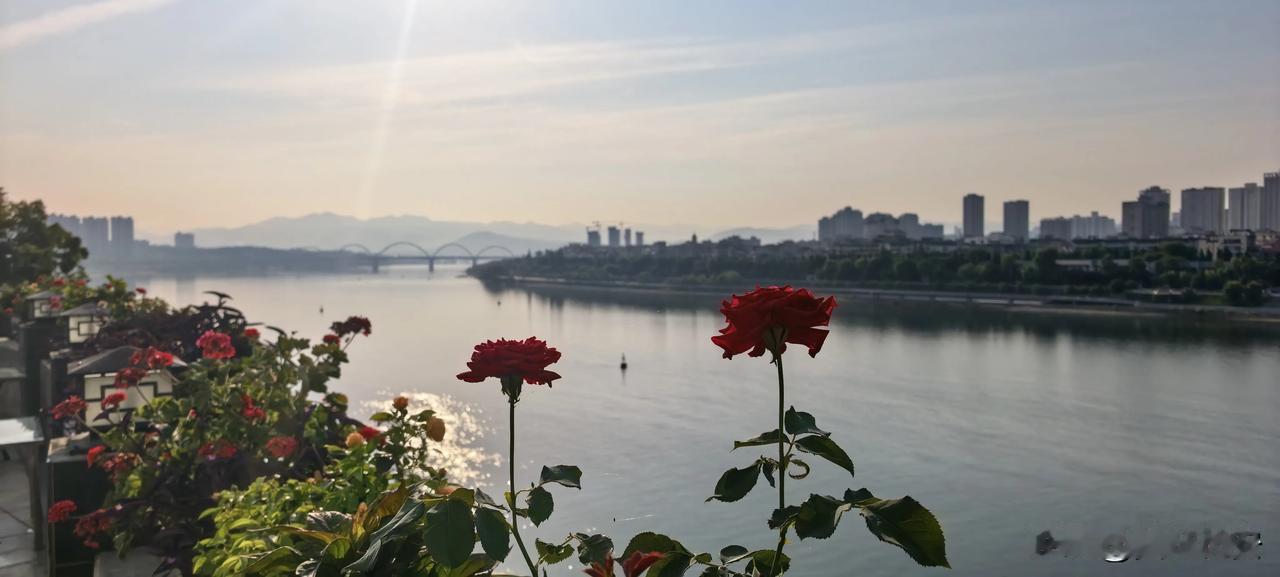 漫步在汉江之滨，看夏日炎炎的秀色美景，不由地感慨：安康真是个好地方。