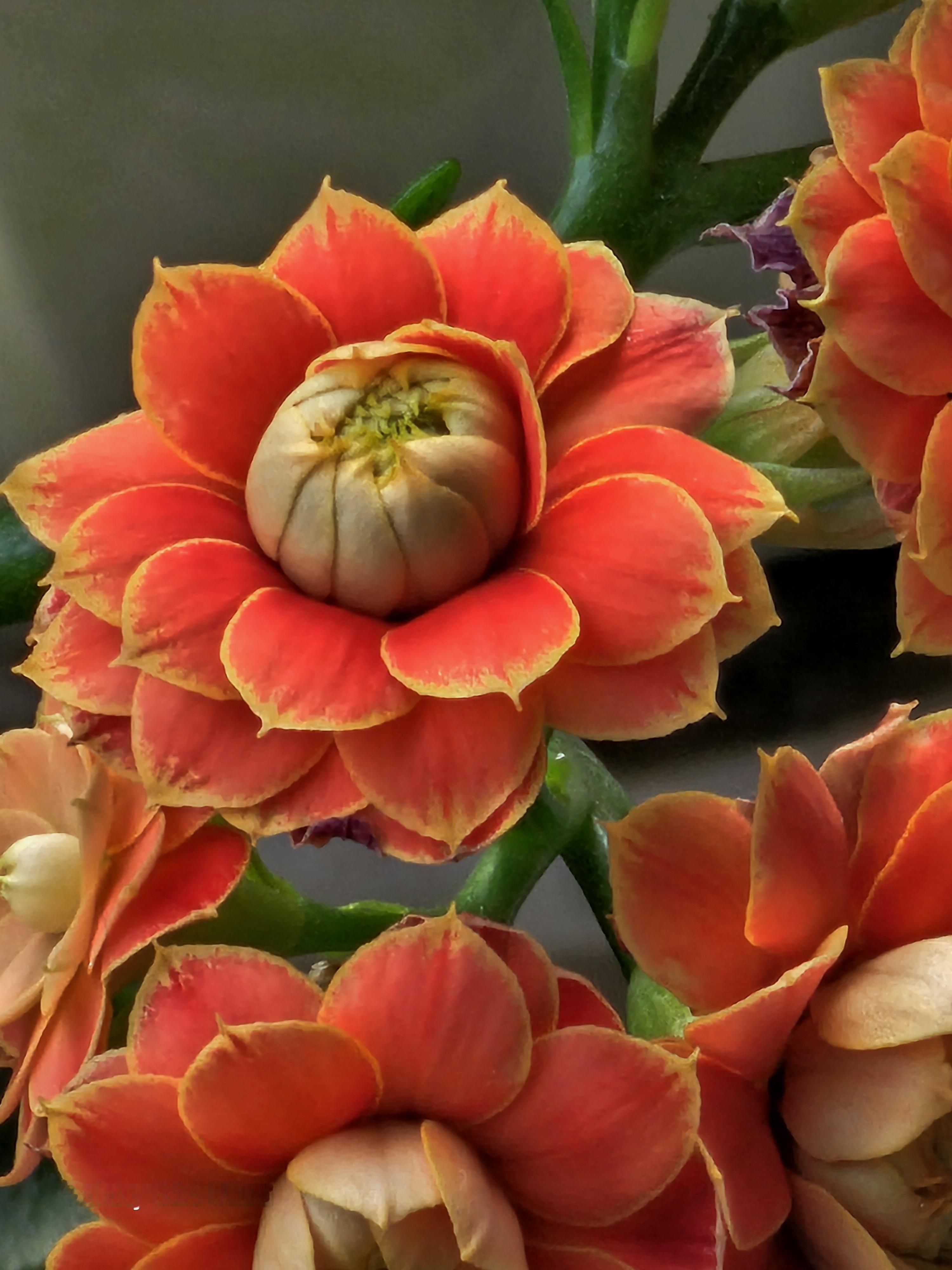 在进行正确的设置之后，S26 Ultra的终于可以让S23 Ultra 10倍长