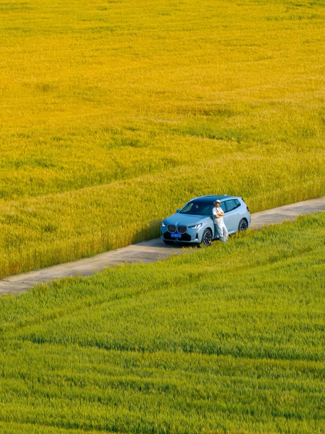 温州露营｜风吹麦浪 走走停停 车子直达❗️