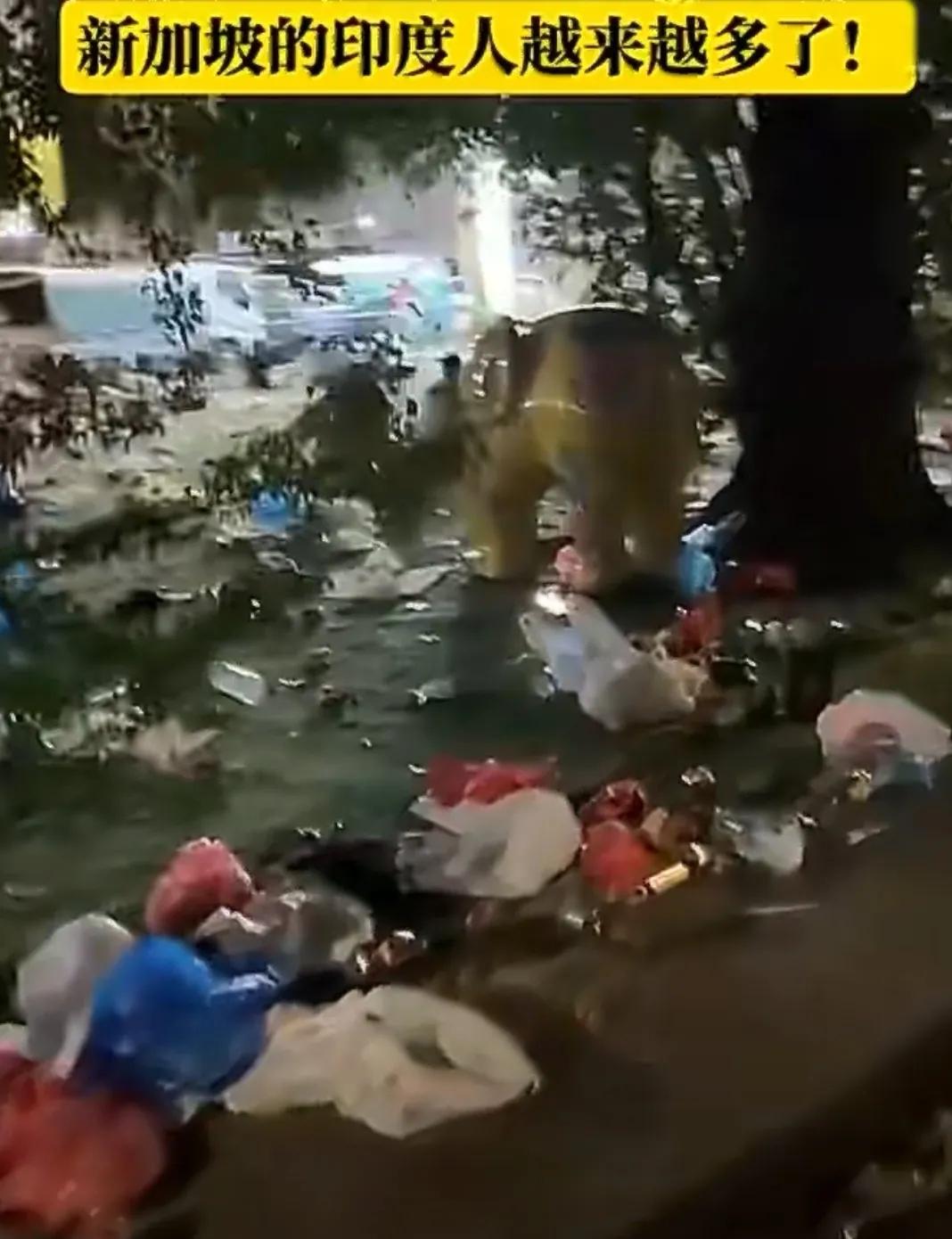 这么一地肮脏的公园居然是新加坡！自从新加坡是印度人当总理以后，新加坡的印度咖喱味
