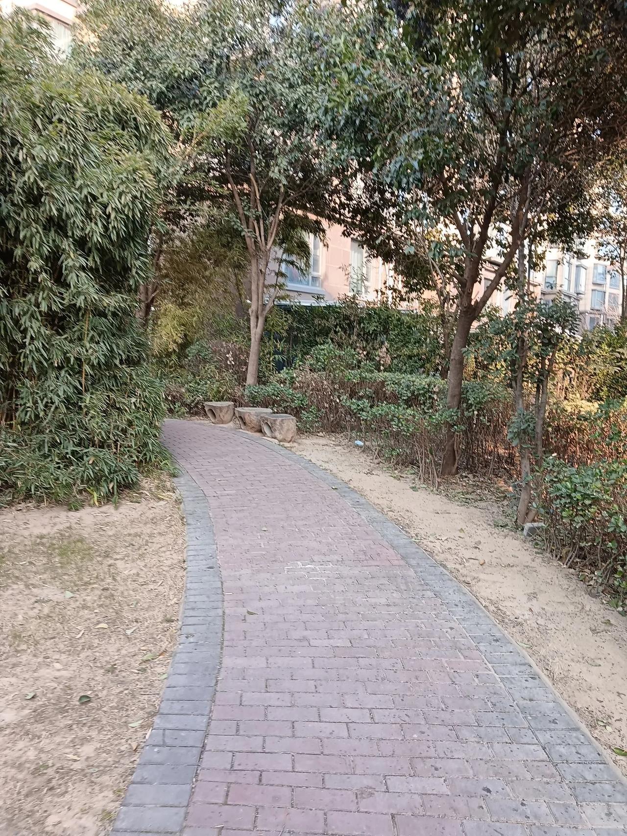 记录小区里的风景