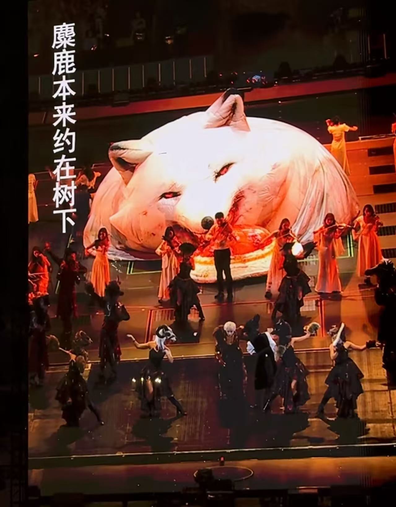 ？？？什么意思？？？ 