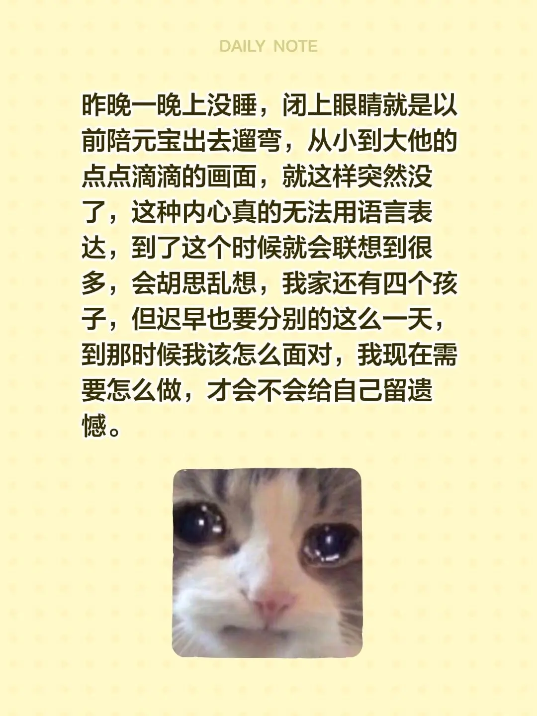 我回复了 的评论： 昨晚一晚上没睡，闭上眼睛就是以前陪元宝出去遛弯，从...