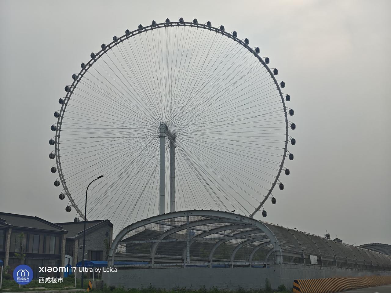 华侨城欢乐谷，草比人高！再不复工，钢筋都生锈了。