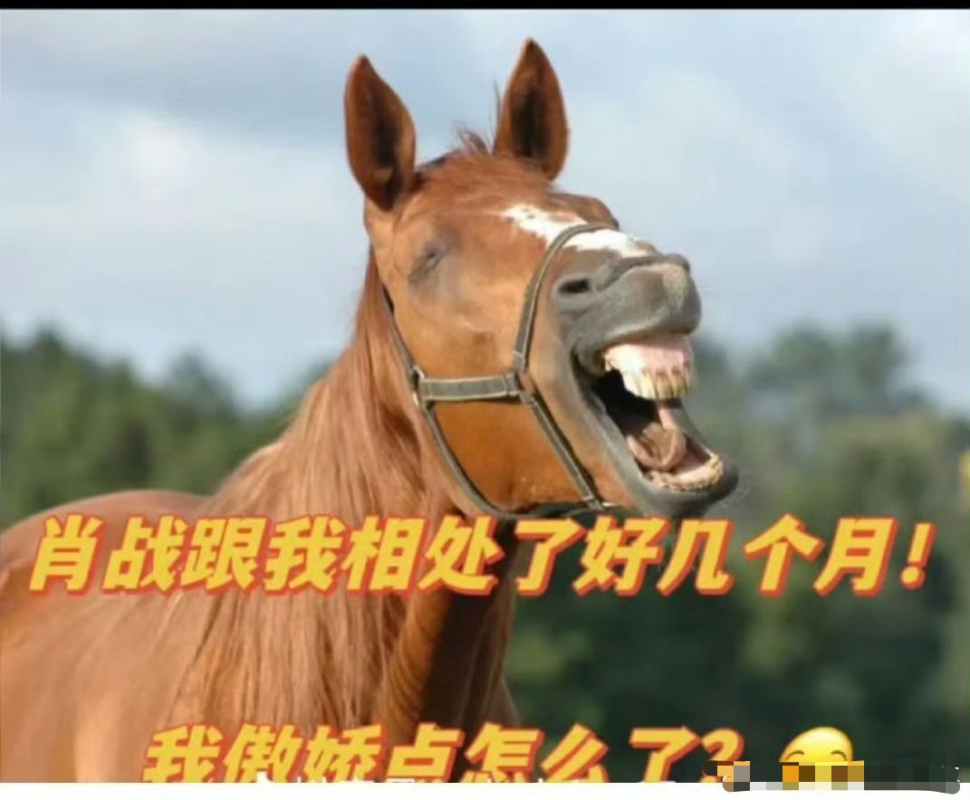 不怕被群殴[doge] 