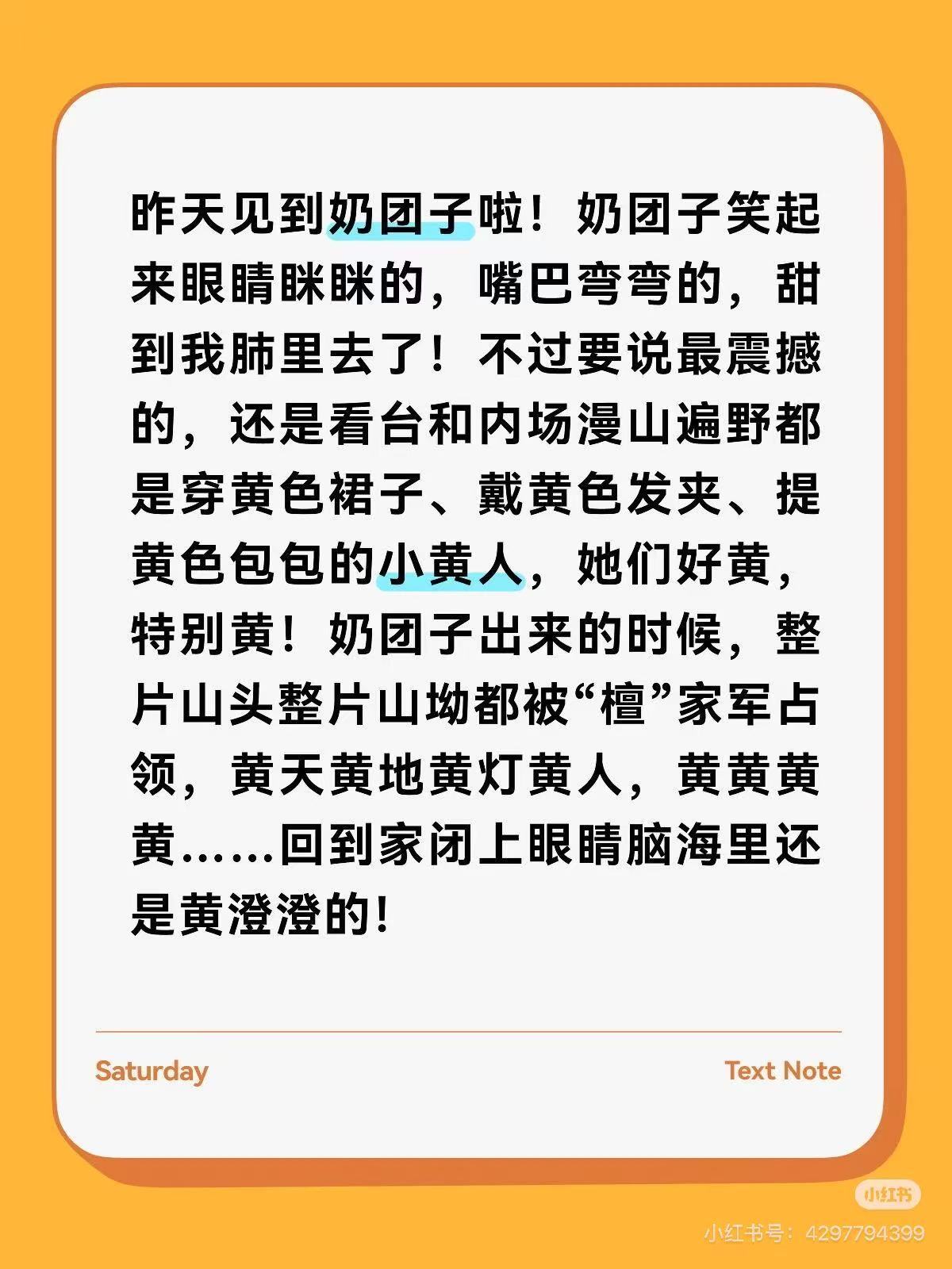 新炭火的后续，狠狠震撼了 绝对入坑不亏