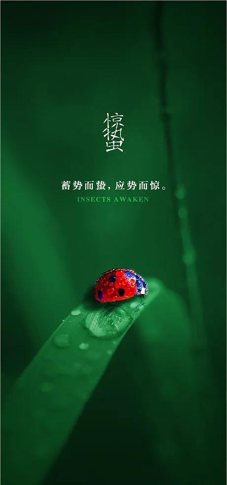 【双调·大德歌】惊蛰随吟
文/江俊（贵州罗甸）

响九苍，醒蛙忙，世间万物爽。
