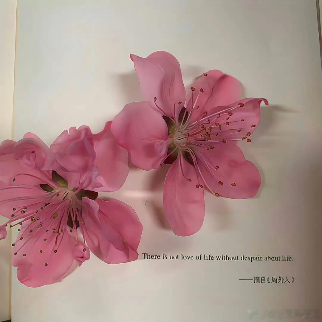 李彦姝奶奶这段话真的太让人治愈了“你快乐才是最大的快乐，让我们泰然若素，与自己的