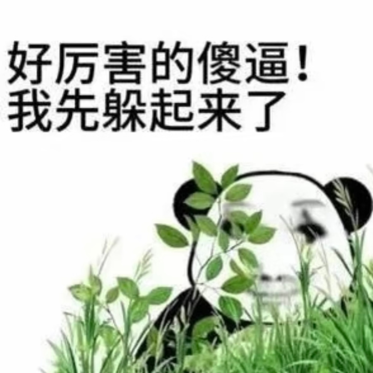 我心肝指哪儿打哪儿 不指我全打了 不要总带着你的猪肝来蹭我心肝 你那猪肝扔地上狗